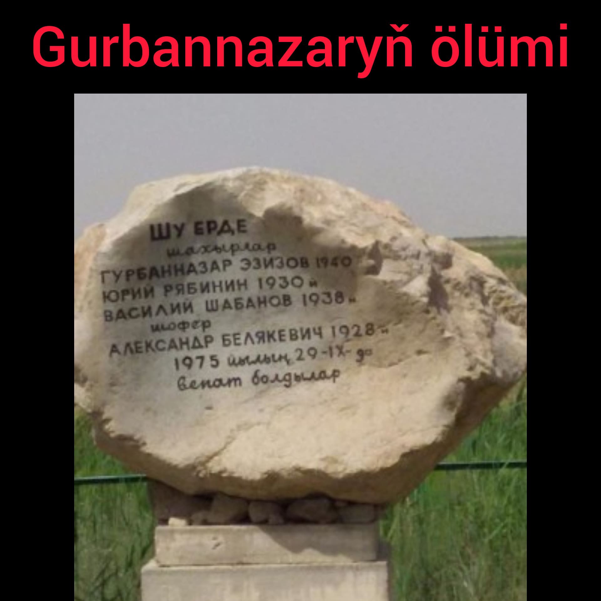 TJysyR5OBEt8pp13.jpeg