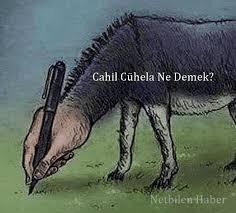 YkomvEmlHsX6V7dH.jpeg