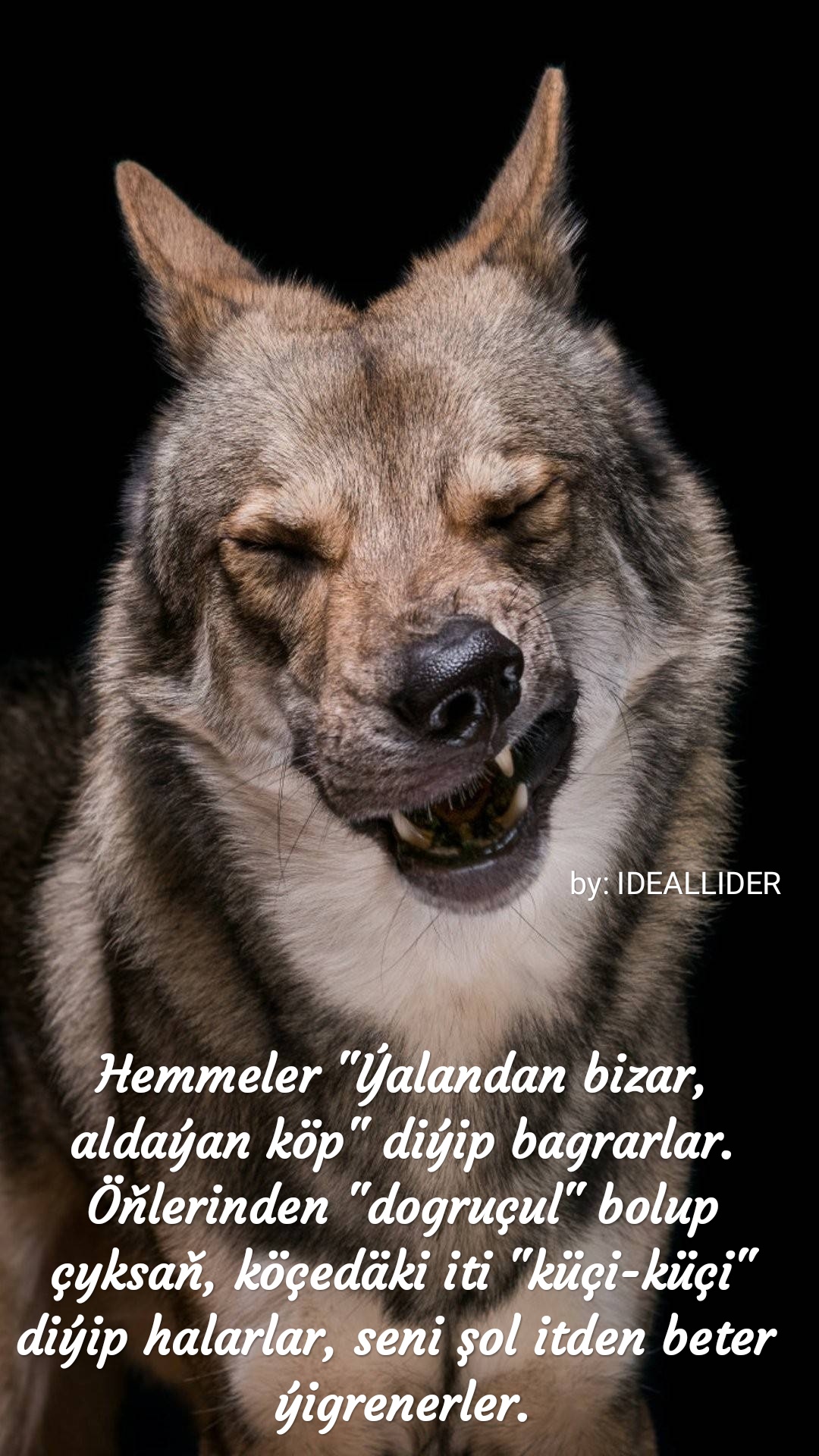 aKbenffgxQKvBBYb.jpg